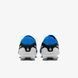 NIKE TIEMPO LEGEND 10 PRO FG (DV4333-400) DV4333-400 фото 6