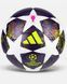 ADIDAS CHAMPIONS LEAGUE PRO SALA (JX9102) JX9102 фото 1