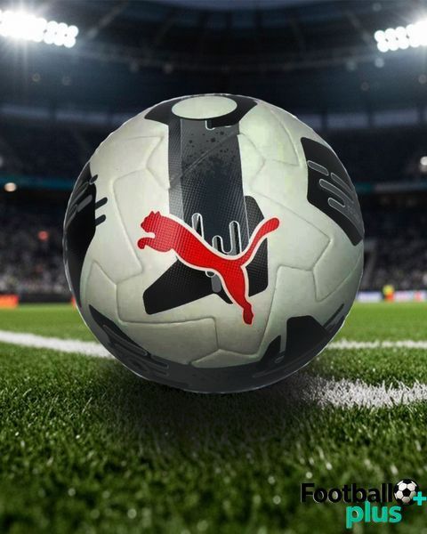 PUMA ORBITA 2 TB FIFA Quality Pro (084323-02) 084323-02 фото
