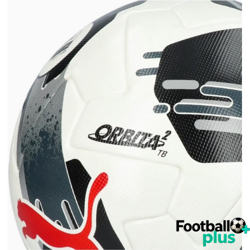 PUMA ORBITA 2 TB FIFA Quality Pro (084323-02) 084323-02 фото