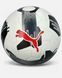 PUMA ORBITA 2 TB FIFA Quality Pro (084323-02) 084323-02 фото 1